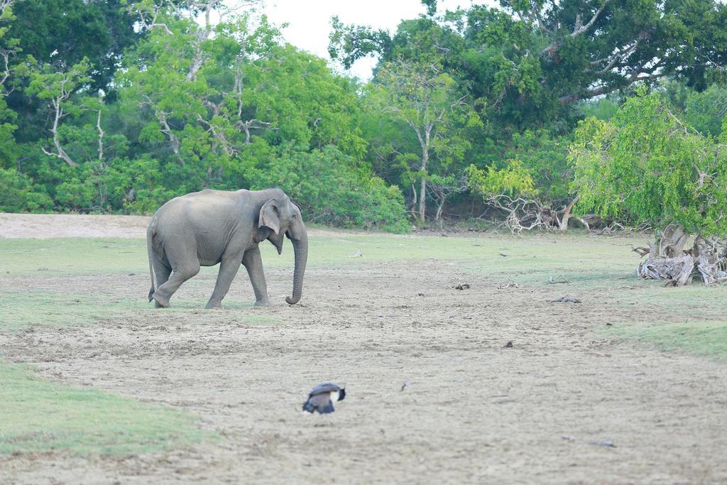 Shangri-lanka Village